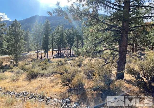 5th image of 196 Scenic Range Ct, Carson City, NV 89705 | MLS# 240013109