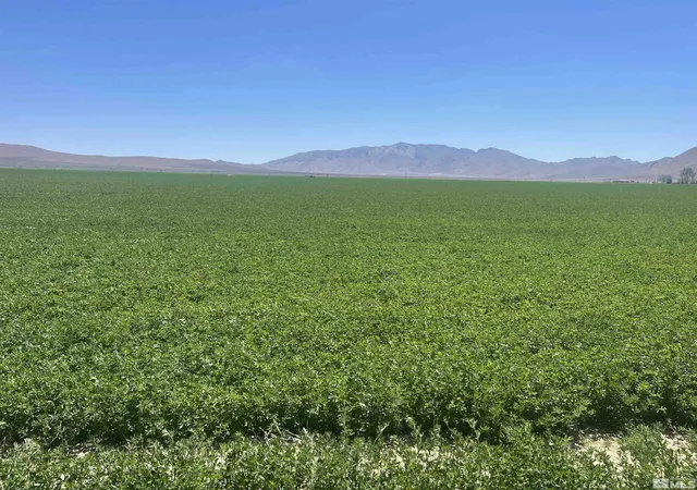 Photo 3 of House for sale at 51955 Wilder Creek Rd, Denio, NV 89404 | MLS# 240007548 | Listing updated on 2026-05-08