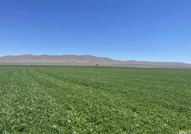 Photo 4 of House for sale at 51955 Wilder Creek Rd, Denio, NV 89404 | MLS# 240007548 | Listing updated on 2026-05-08