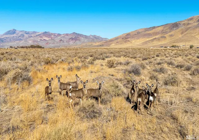 21st image of 5555 Sage Flat Rd, Reno, NV 89510 | MLS# 240014982