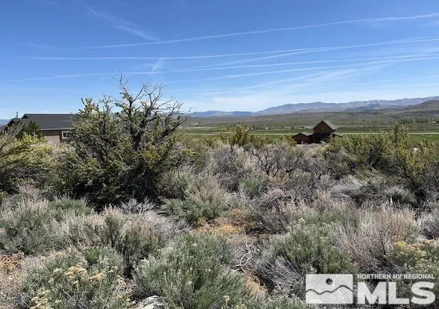 Homes for sale in Woodfords, CA | Tbd Jenny May Way, Woodfords, CA 96120 | MLS# 250004198