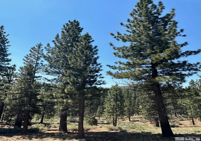 Homes for sale in Markleeville, CA | Lot 2 Raymond Vw, Markleeville, CA 96120 | MLS# 210006100