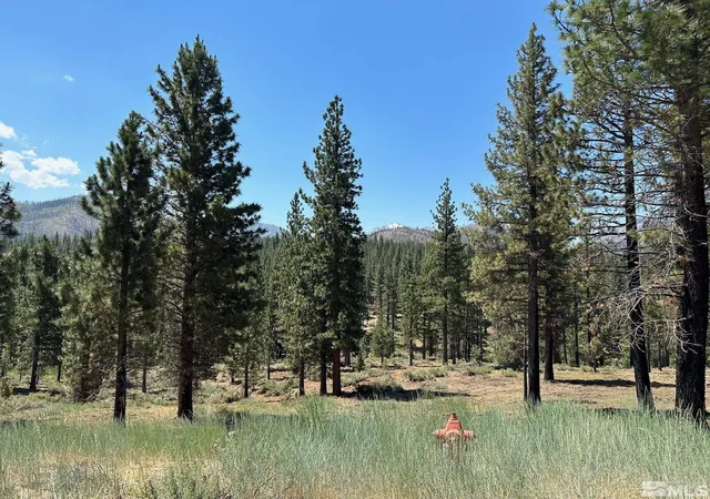 Homes for sale in Markleeville, CA | Lot 2 Raymond Vw, Markleeville, CA 96120 | MLS# 210006100