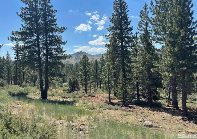 Homes for sale in Markleeville, CA | Lot 2 Raymond Vw, Markleeville, CA 96120 | MLS# 210006100
