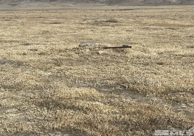 6th image of T29 Sec 17, Lovelock, NV 89419 | MLS# 220014899