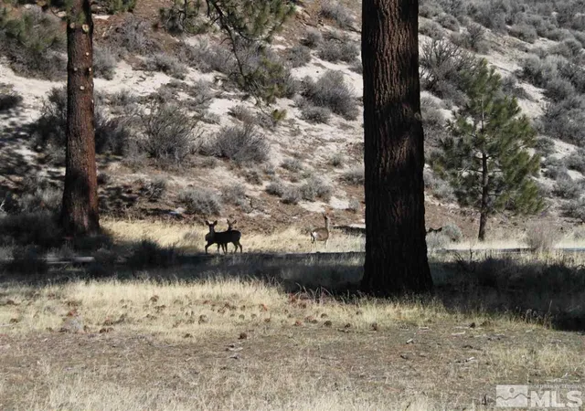 Photo 3 of Land for sale at 5000 W Hwy 50, Carson, NV 89703 | MLS# 210007651 | Listing updated on 2025-06-29