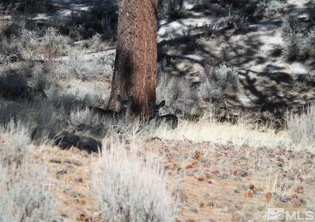 Photo 3 of Land for sale at 5000 W Hwy 50, Carson, NV 89703 | MLS# 210007651 | Listing updated on 2025-06-29