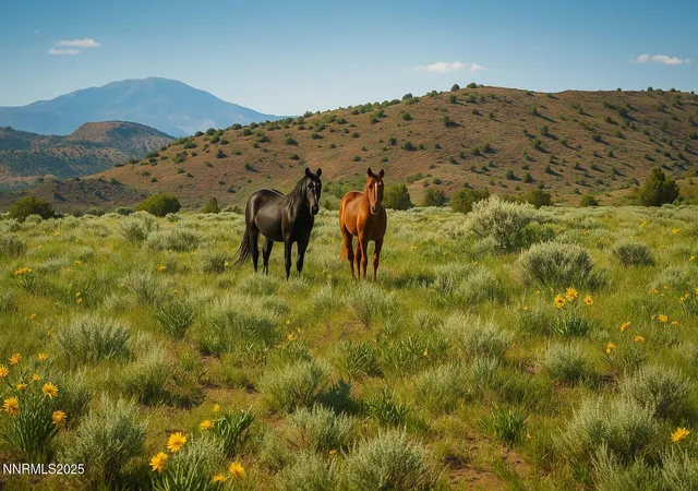 Photo 2 of Land for sale at 004 231 70 Sheridan Road Road, Reno, NV 89521 | MLS# 240005527 | Listing updated on 2025-08-20
