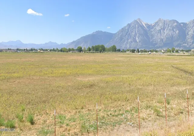 Photo 3 of Land for sale at 000 Buckeye Rd, Minden, NV 89423 | MLS# 240001494 | Listing updated on 2026-10-01