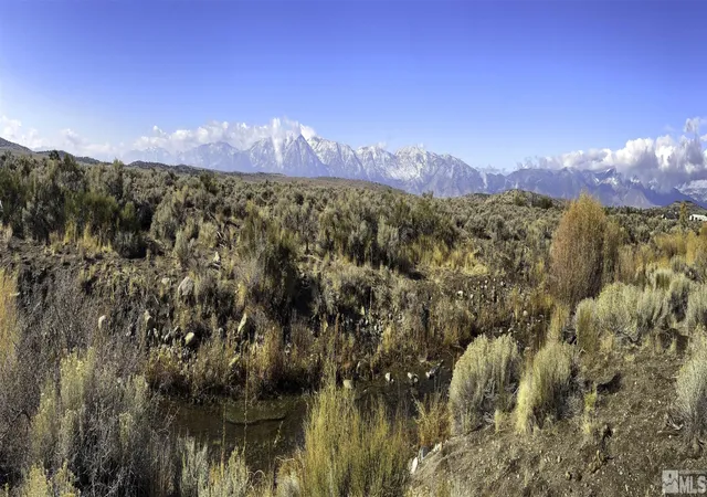 1st image of Tbd Bray Way, Gardnerville, NV 89410 | MLS# 240012787