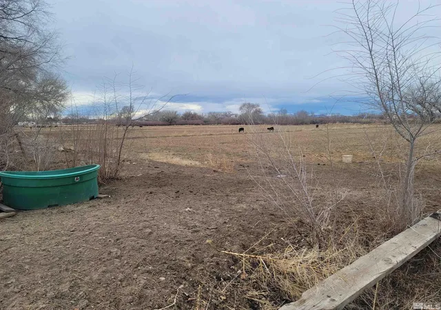 11th image of 900 Calkin / Rice Rd, Fallon, NV 89406 | MLS# 250005884