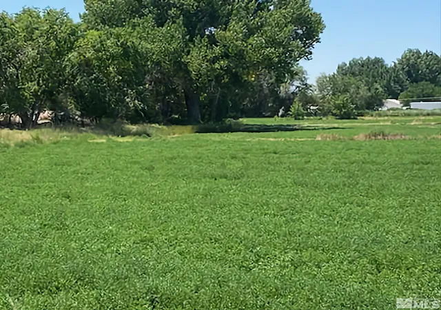 1st image of 900 Calkin / Rice Rd, Fallon, NV 89406 | MLS# 250005884