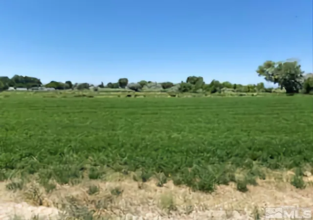 2nd image of 900 Calkin / Rice Rd, Fallon, NV 89406 | MLS# 250005884
