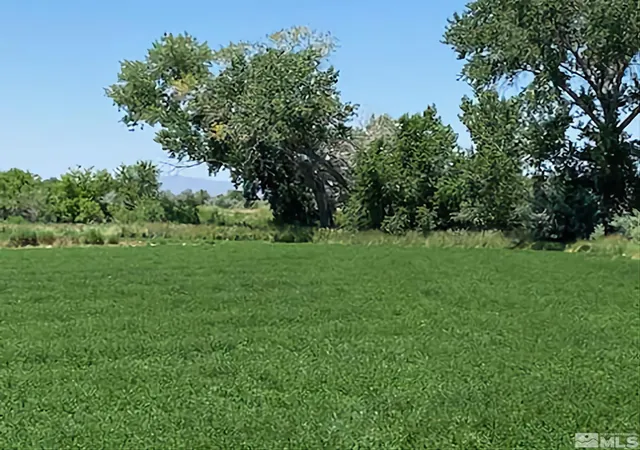 3rd image of 900 Calkin / Rice Rd, Fallon, NV 89406 | MLS# 250005884