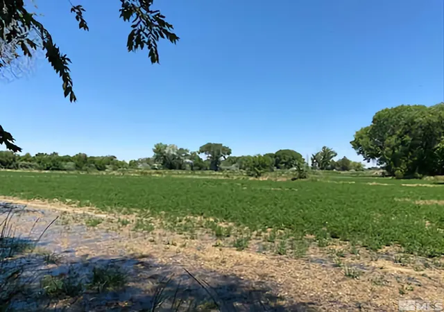5th image of 900 Calkin / Rice Rd, Fallon, NV 89406 | MLS# 250005884