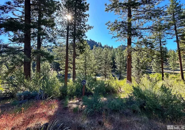 1st image of 3237 Summit Camp #C31, Carson City, NV 89705 | MLS# 250050002