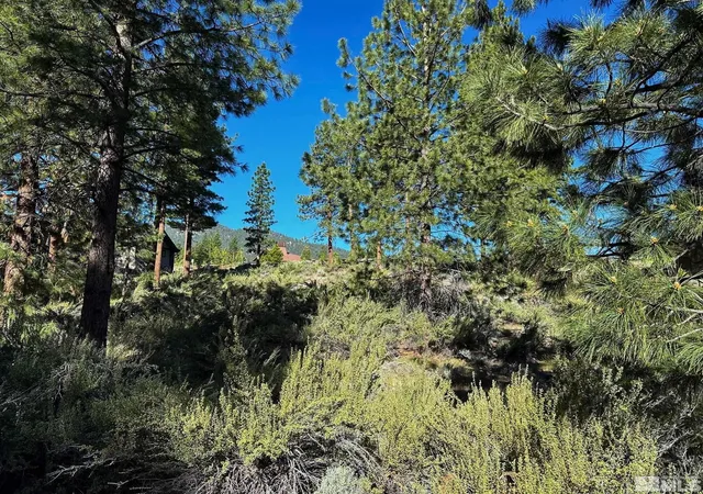 3rd image of 3237 Summit Camp #C31, Carson City, NV 89705 | MLS# 250050002