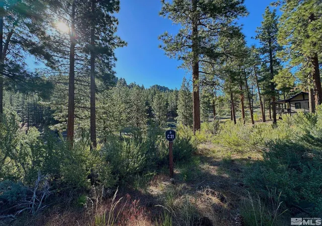 5th image of 3237 Summit Camp #C31, Carson City, NV 89705 | MLS# 250050002