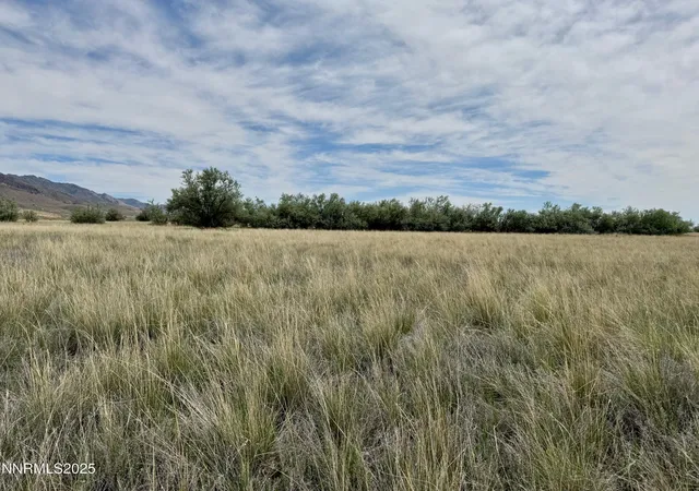 Photo 3 of Land for sale at 10980 Beaumont Trl, Lovelock, NV 89419 | MLS# 250050356 | Listing updated on 2026-07-26