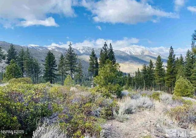 Photo 4 of Land for sale at 7300 Pine Cyn Rd, Washoe Valley, NV 89704 | MLS# 250050687 | Listing updated on 2025-06-13