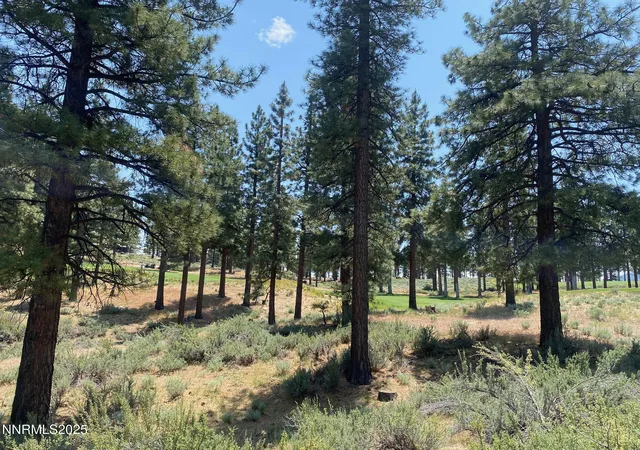 Photo 2 of Land for sale at 245 Redding Way #226, Carson City, NV 89705 | MLS# 250051057 | Listing updated on 2026-08-03