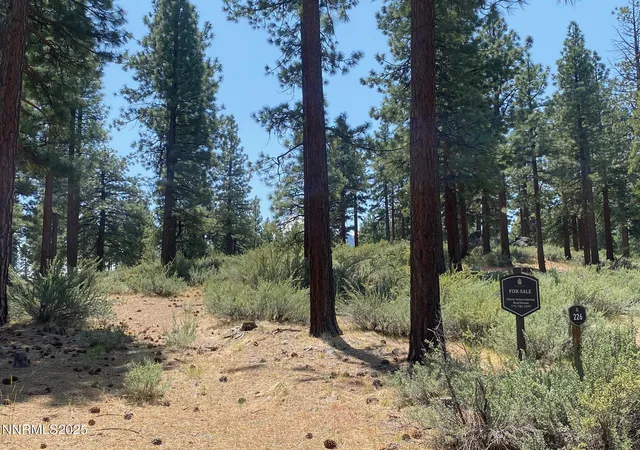 Photo 3 of Land for sale at 245 Redding Way #226, Carson City, NV 89705 | MLS# 250051057 | Listing updated on 2026-08-03