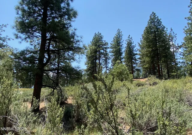 Photo 3 of Land for sale at 245 Redding Way #226, Carson City, NV 89705 | MLS# 250051057 | Listing updated on 2026-08-03