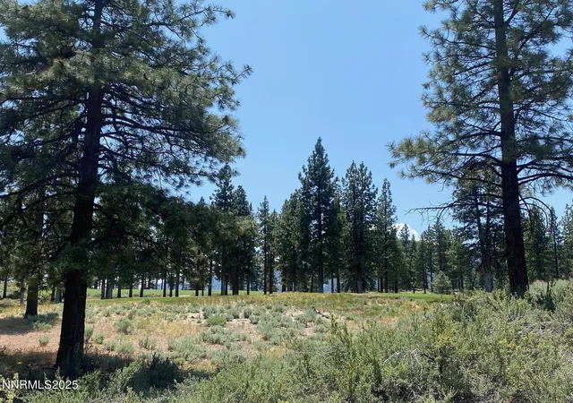 Photo 4 of Land for sale at 245 Redding Way #226, Carson City, NV 89705 | MLS# 250051057 | Listing updated on 2026-08-03