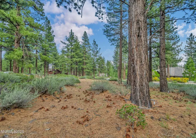 Photo 4 of Land for sale at 307 E Jeffrey Pine Rd #3, Reno, NV 89511 | MLS# 250051103 | Listing updated on 2026-01-26