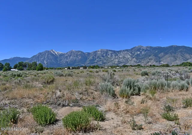 Photo 4 of Land for sale at 1795 Us Hwy 395, Minden, NV 89423 | MLS# 250051659 | Listing updated on 2026-06-26