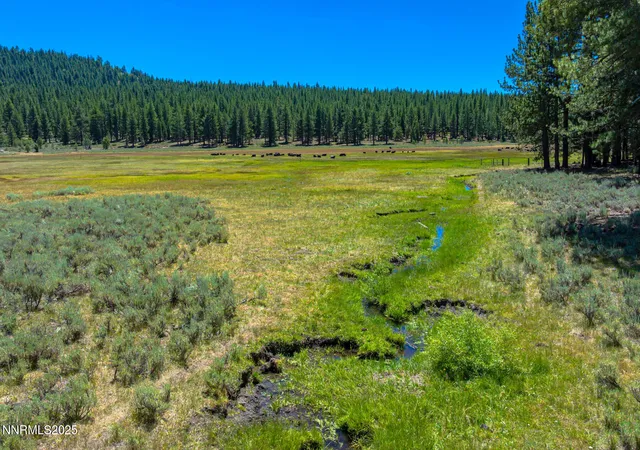 1st image of Xxx Smithneck Rd, Loyalton, CA 96118 | MLS# 250052976