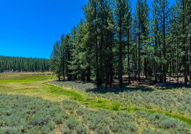 4th image of Xxx Smithneck Rd, Loyalton, CA 96118 | MLS# 250052976