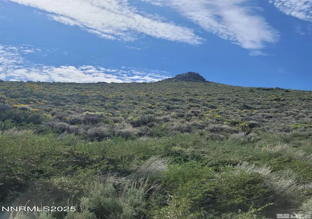 Homes for sale in Reno, NV | 525 Prairie Dog, Reno, NV 89508 | MLS# 250053011