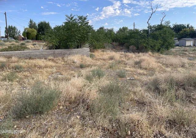 Homes for sale in Yerington, NV | 3 & 7 Bridge St, Yerington, NV 89447 | MLS# 250053039