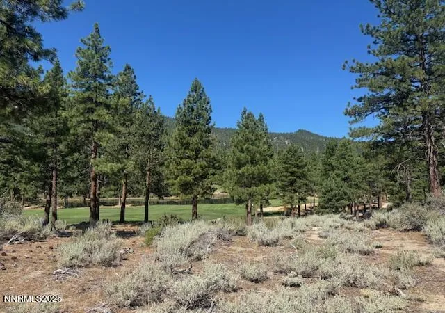 4th image of 193 Redding Way #257, Carson City, NV 89705 | MLS# 250053446