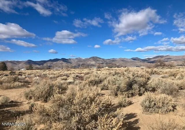 Homes for sale in Dayton, NV | 150 Potosi Rd, Dayton, NV 89403 | MLS# 250053472