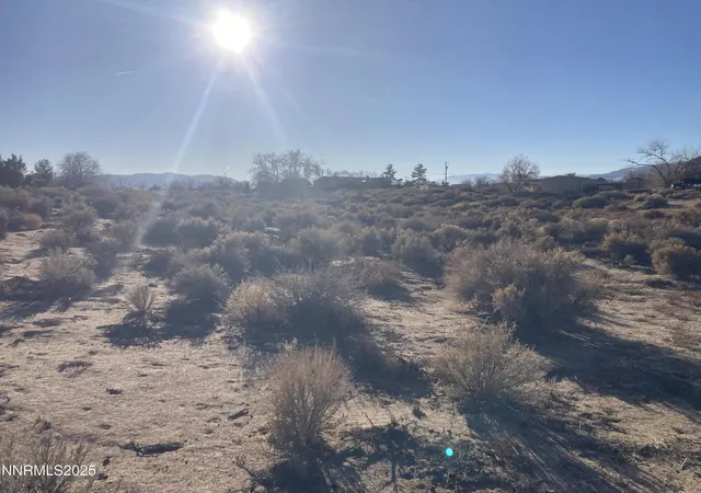 Homes for sale in Dayton, NV | 310 Ophir Rd, Dayton, NV 89403 | MLS# 250053761