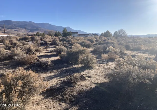 Homes for sale in Dayton, NV | 310 Ophir Rd, Dayton, NV 89403 | MLS# 250053761