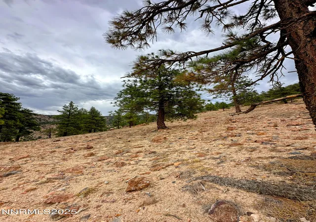Photo 4 of Land for sale at 0 Geiger Grade, Reno, NV 89521 | MLS# 250053963 | Listing updated on 2025-12-03