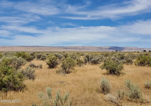 1st image of 03 0511 10 Elliott Rd, Orovada, NV 89425 | MLS# 250054504