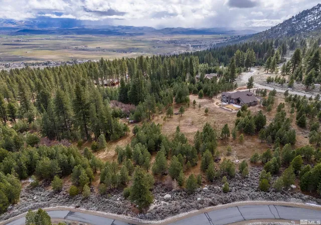 Photo 4 of Land for sale at 235 Job'S Canyon Ct, Gardnerville, NV 89460 | MLS# 250057632 | Listing updated on 2026-04-23
