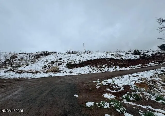 1st image of 0 Wrangler Rd, Reno, NV 89510 | MLS# 250055383