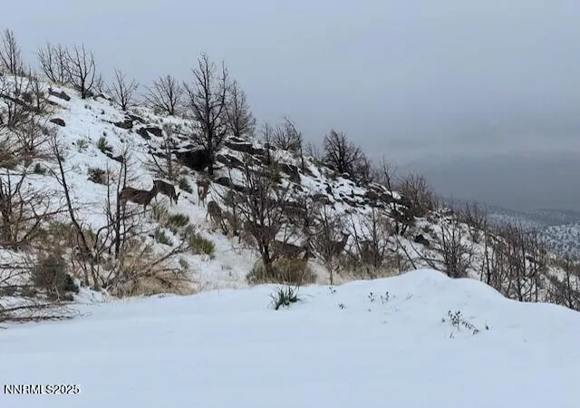2nd image of 0 Wrangler Rd, Reno, NV 89510 | MLS# 250055383