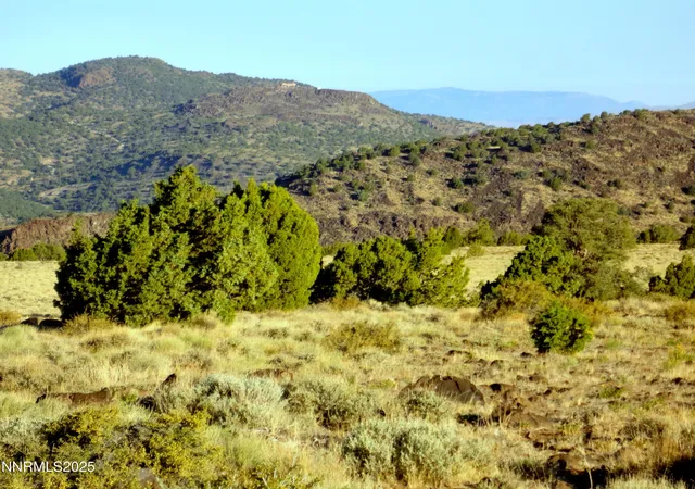 5th image of 0 Rocky Rd, Reno, NV 89521 | MLS# 250055801