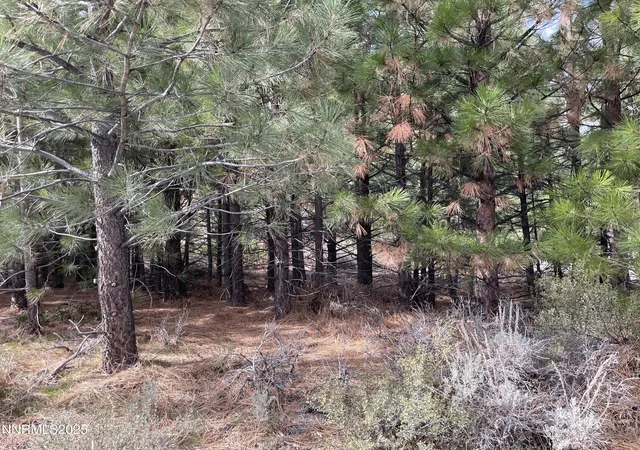 Photo 1 of Land for sale at 4995 Nadia Ct, Reno, NV 89511 | MLS# 250057510 | Listing updated on 2025-10-25