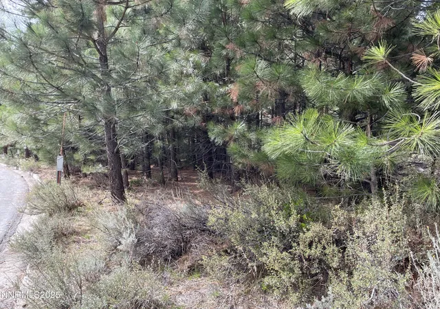 Photo 4 of Land for sale at 4995 Nadia Ct, Reno, NV 89511 | MLS# 250057510 | Listing updated on 2025-10-25