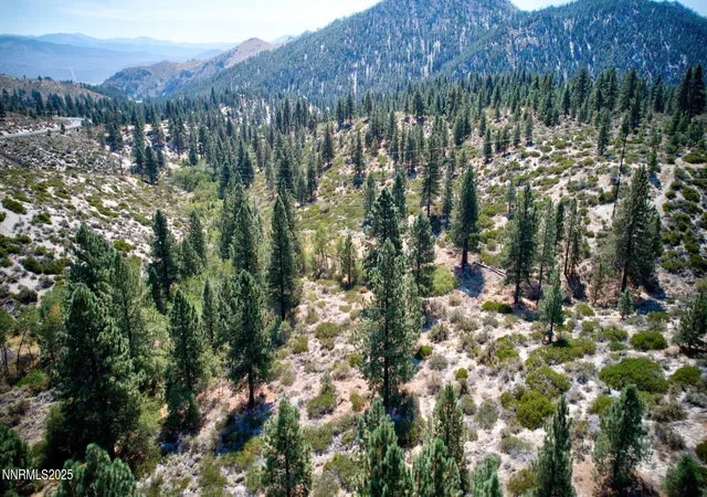 11th image of 5645 Us Hwy 50, Carson City, NV 89705 | MLS# 250058059