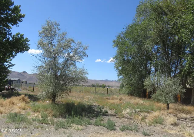 Photo 2 of Land for sale at 5 Pebble Beach Ln, Yerington, NV 89447 | MLS# 250058024 | Listing updated on 2026-08-22