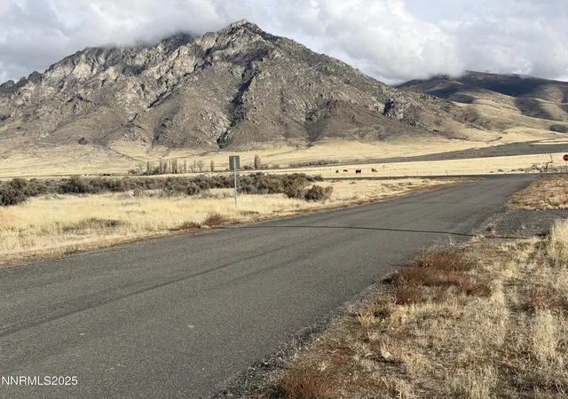 49th image of 40 Kunkel Ln, Orovada, NV 89425 | MLS# 250058367