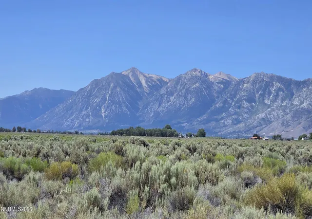 Photo 1 of Land for sale at 1205 Stephanie Way, Minden, NV 89423 | MLS# 250058787 | Listing updated on 2026-07-21